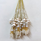 Pearl and shell tassel necklace on a white background